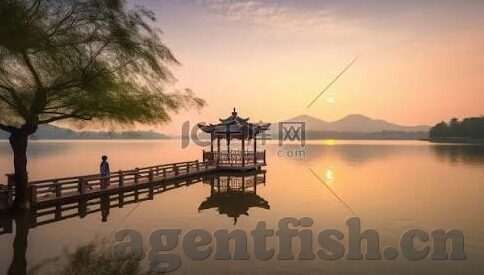 大象传媒大片免费观看-探索大象传媒，免费观影的广阔天地