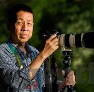 国产自拍一区二区-国产自拍，一区二区的多元视角与文化探索