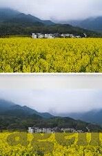 麻豆传媒在哪-麻豆传媒，探索数字时代内容平台的新视角
