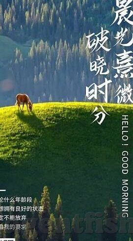 糖心app进不去-答疑解惑，糖心APP无法访问的多种原因与应对策略